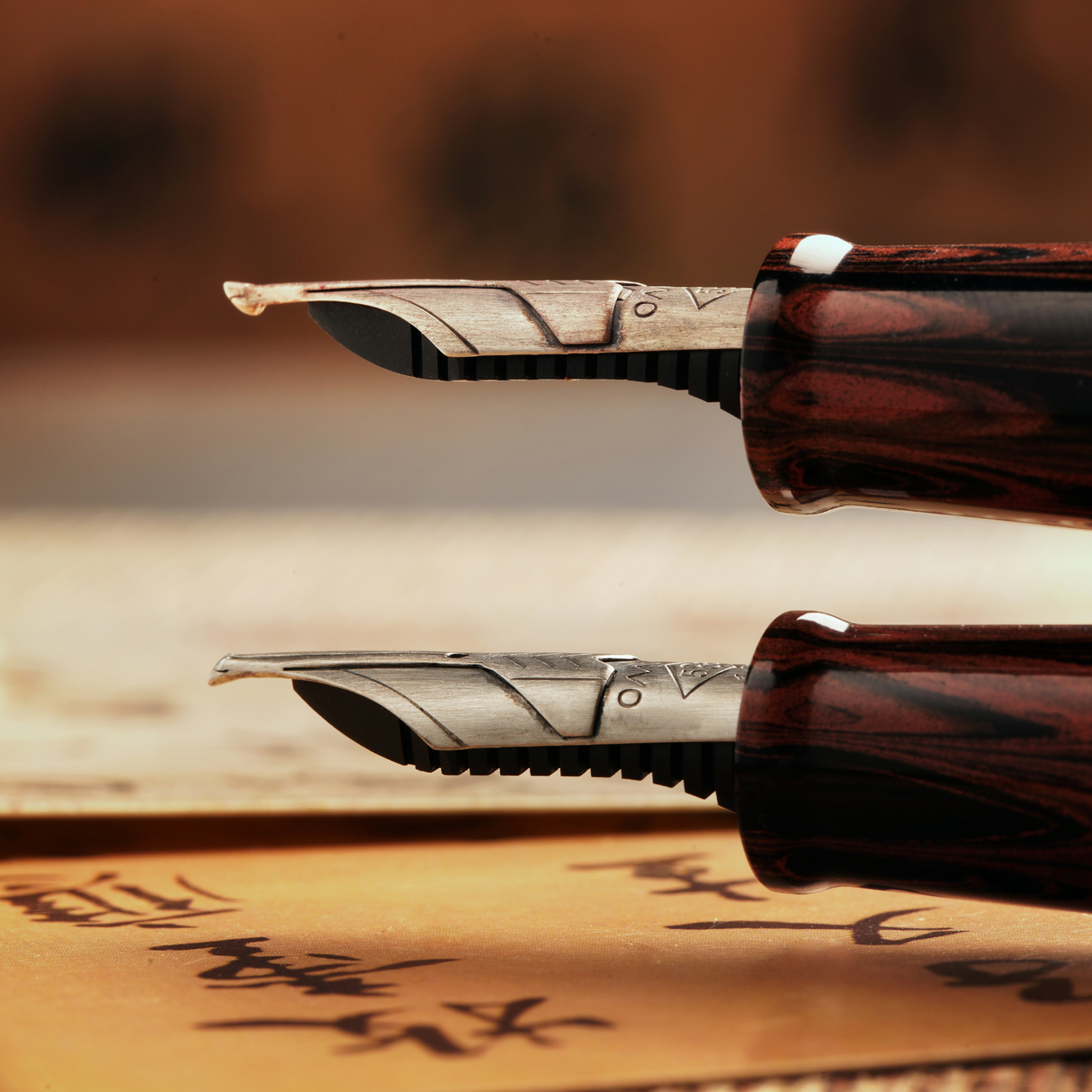 OMAS Paragon Fountain Pen Calligrafia Limited Edition Silver Trim
