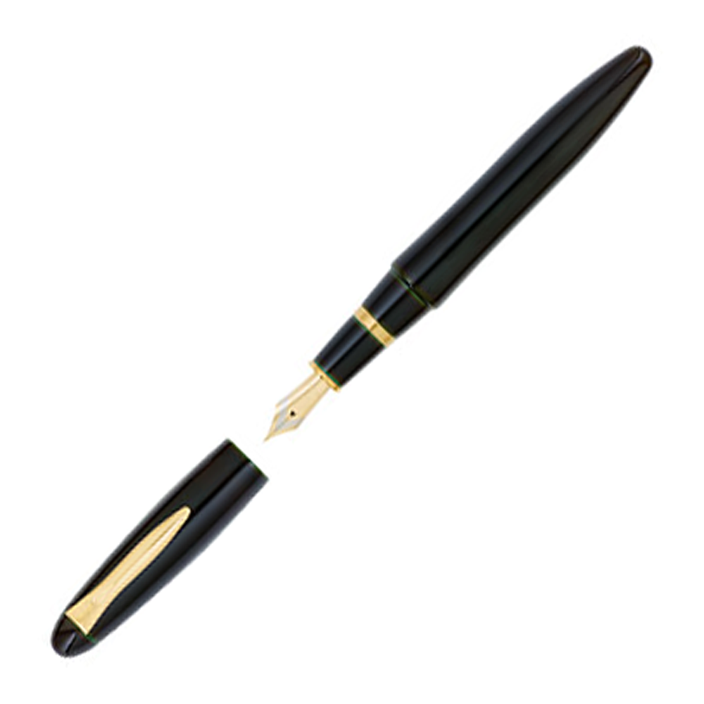 Platinum Izumo Urushi Sora (Dark Green) - Fountain Pen