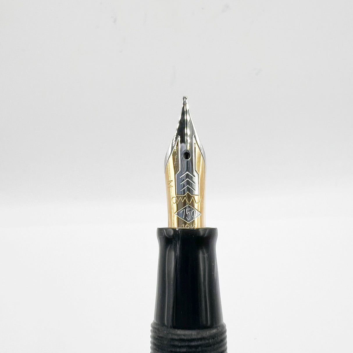 OMAS Princess Paragon Extra Platinum Celluloid Fountain Pen with Tassel - Medium 18kt Gold Nib