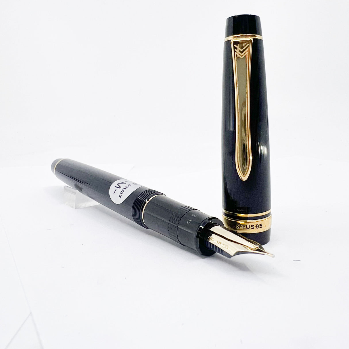 Pilot Justus 95 Fountain Pen - Flexible Architect's Grind 14kt Gold Nib Customized from a Medium