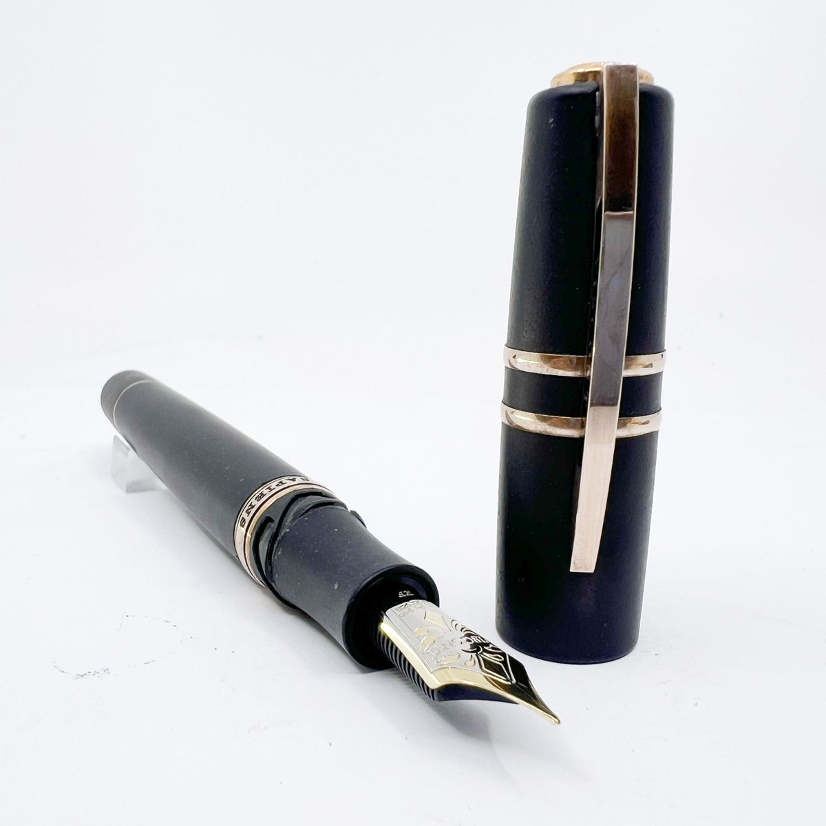 Visconti Homo Sapiens Bronze Age Fountain Pen - Very Flexible Extra Fine 23K Palladium Nib