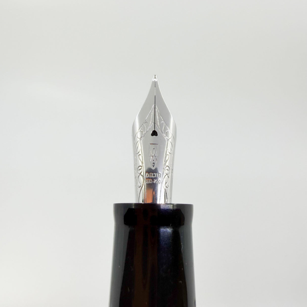 Delta - Original DolceVita Sterling Silver Trim Medium Fountain Pen - Medium 18kt Gold Nib