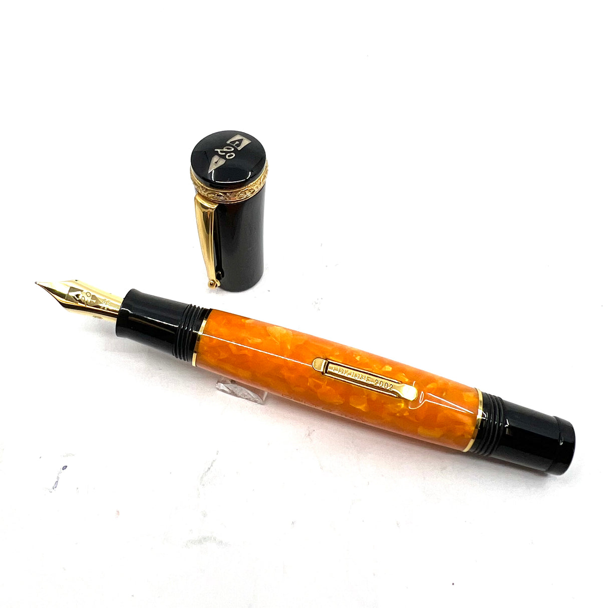Delta 20th Anniversary Limited Edition Fountain Pen