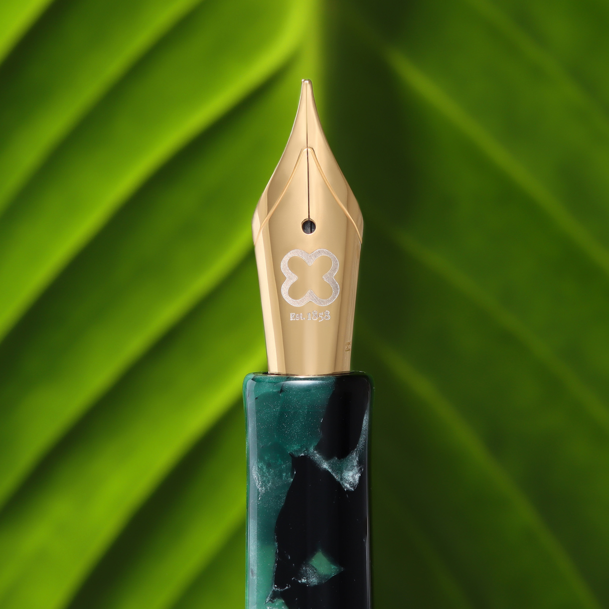Esterbrook Niblet Evergreen Fountain Pen Collection