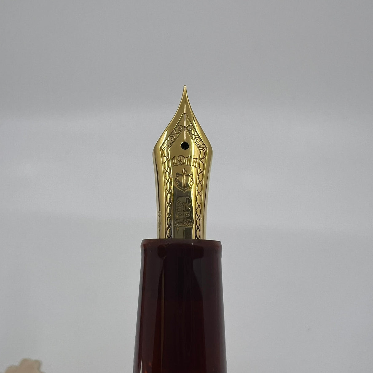 Sailor Standard Professional Gear Brown Fountain Pen - Extra Fine 21 Kt Gold Nib