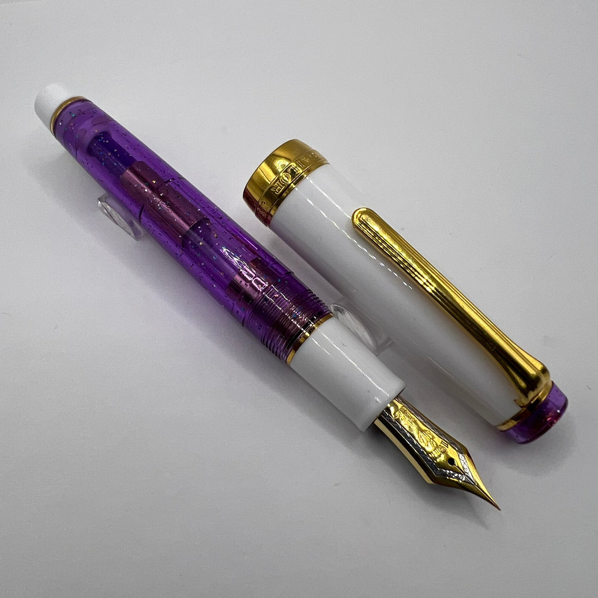 Sailor Purple Rain Pro Gear Fountain Pen - Extra Fine 21kt Gold Nib