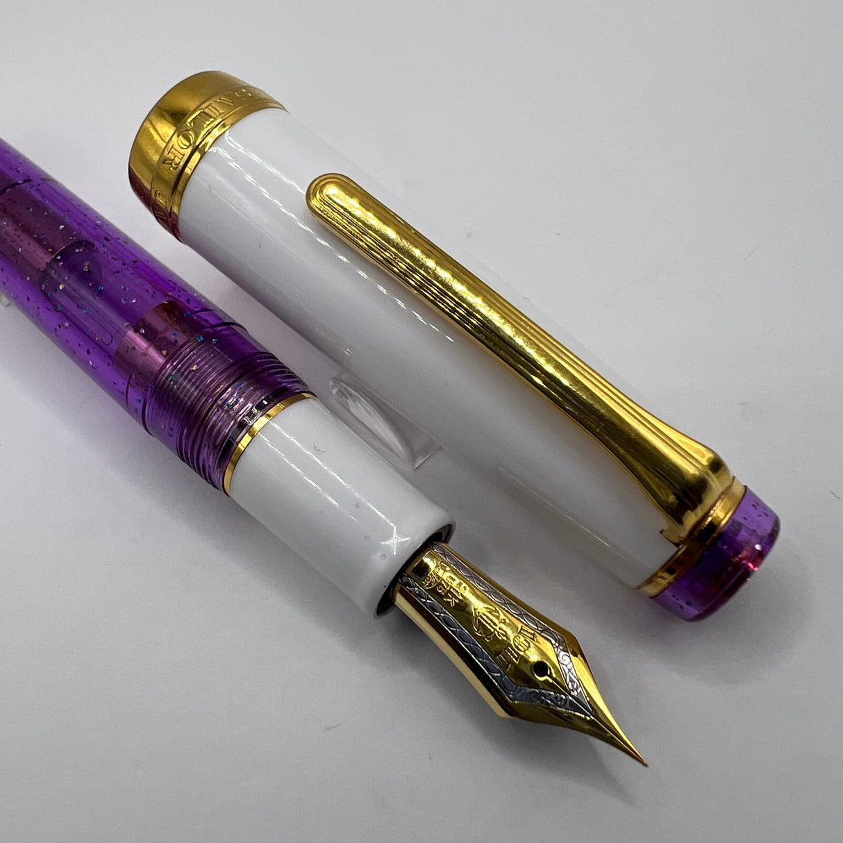Sailor Purple Rain Pro Gear Fountain Pen - Extra Fine 21kt Gold Nib