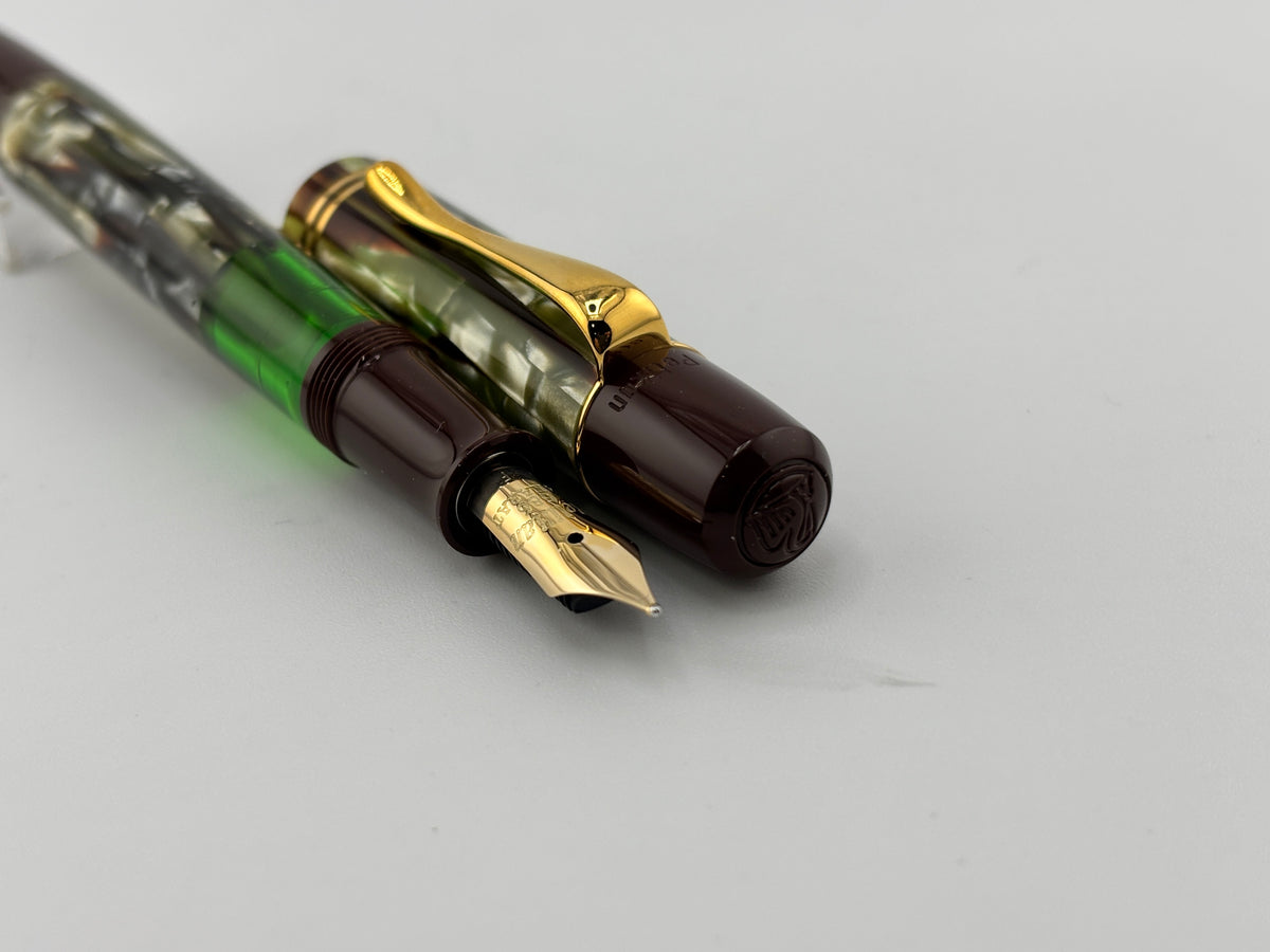 Pelikan M101N Special Edition Brown Tortoise Fountain Pen - Fine 14kt Gold Nib