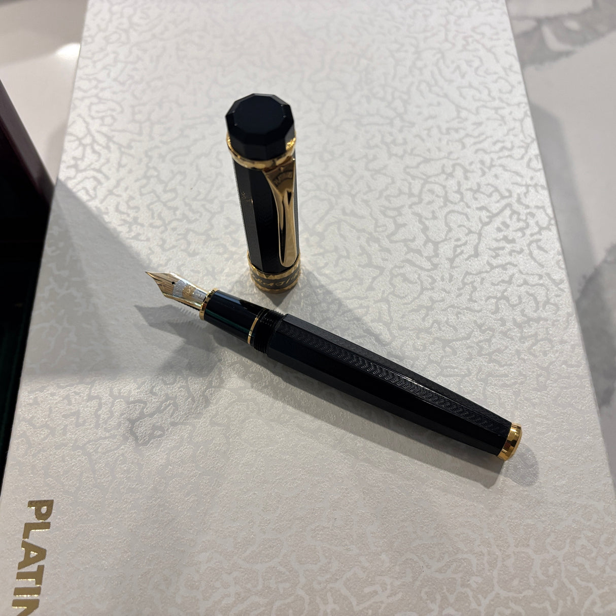 Platinum AD2000 Y2K Black Commemorative Limited Edition Fountain Pen - Fine 18kt Gold Nib