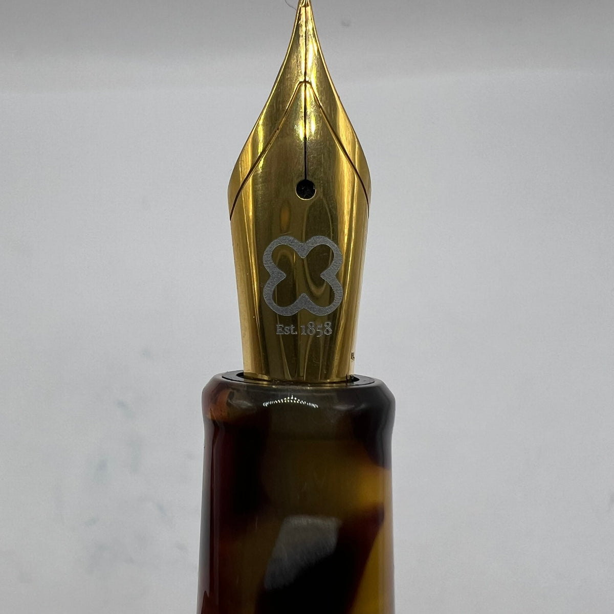 Esterbrook Estie Tortoise Regular Size Fountain Pen - Fine Gold-Plated Nib