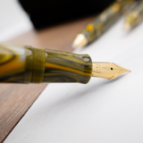 Delta Neo Gallery Marigold Gold Trim Fountain Pen