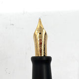 Aurora Optima Afrika Limited Edition Fountain  Pen