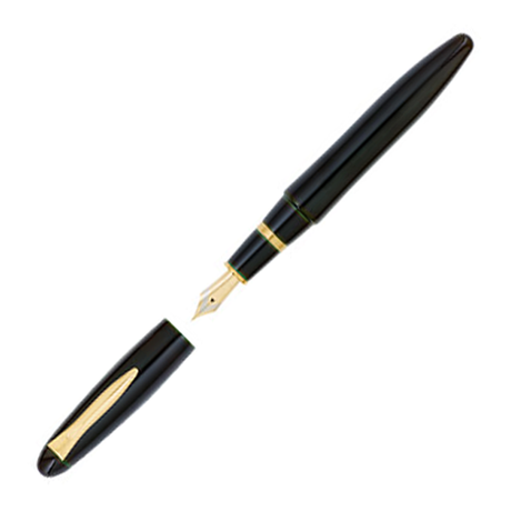 Platinum Izumo Urushi Sora (Dark Green) - Fountain Pen