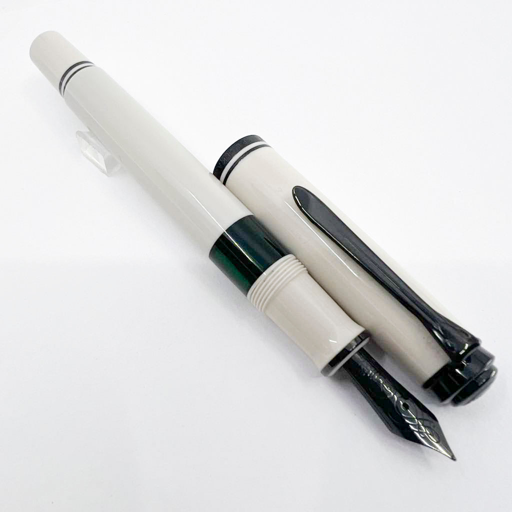 Pelikan Special Edition M670 Warm Grey Fountain Pen - Extra Fine 14kt Gold Nib