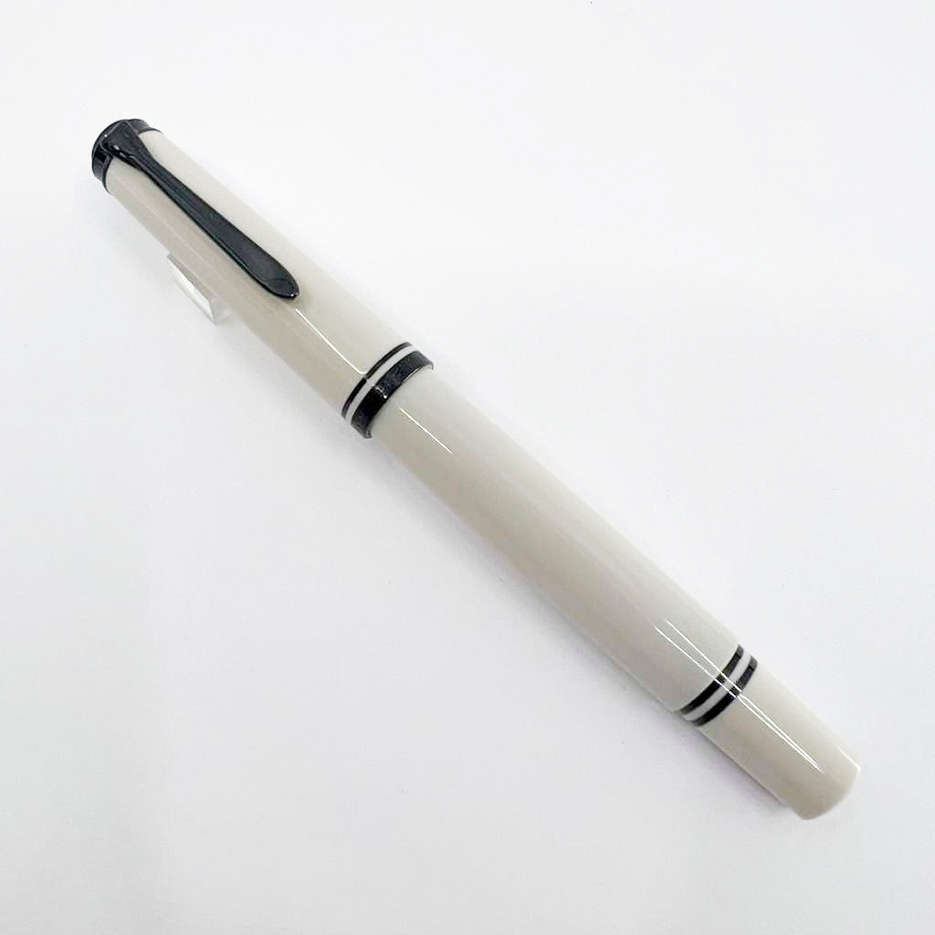 Pelikan Special Edition M670 Warm Grey Fountain Pen - Extra Fine 14kt Gold Nib
