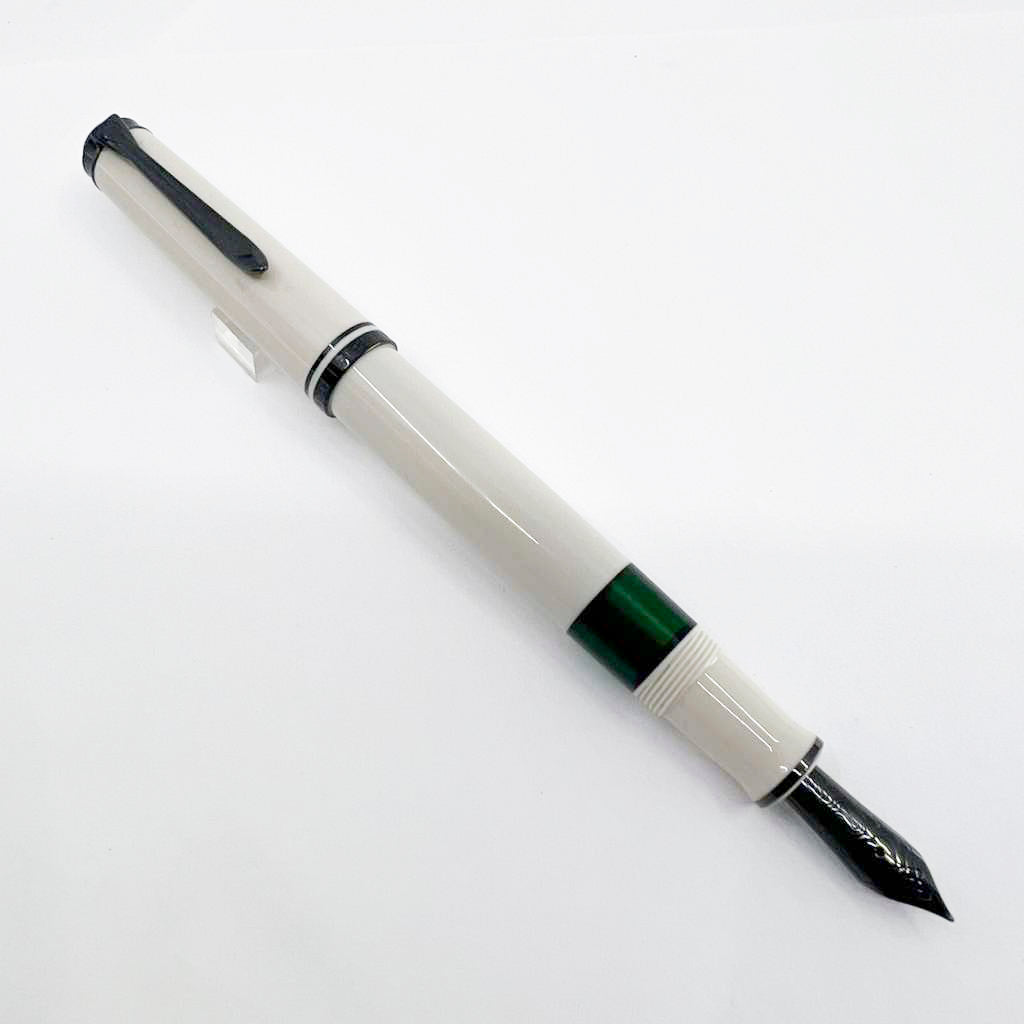 Pelikan Special Edition M670 Warm Grey Fountain Pen - Extra Fine 14kt Gold Nib