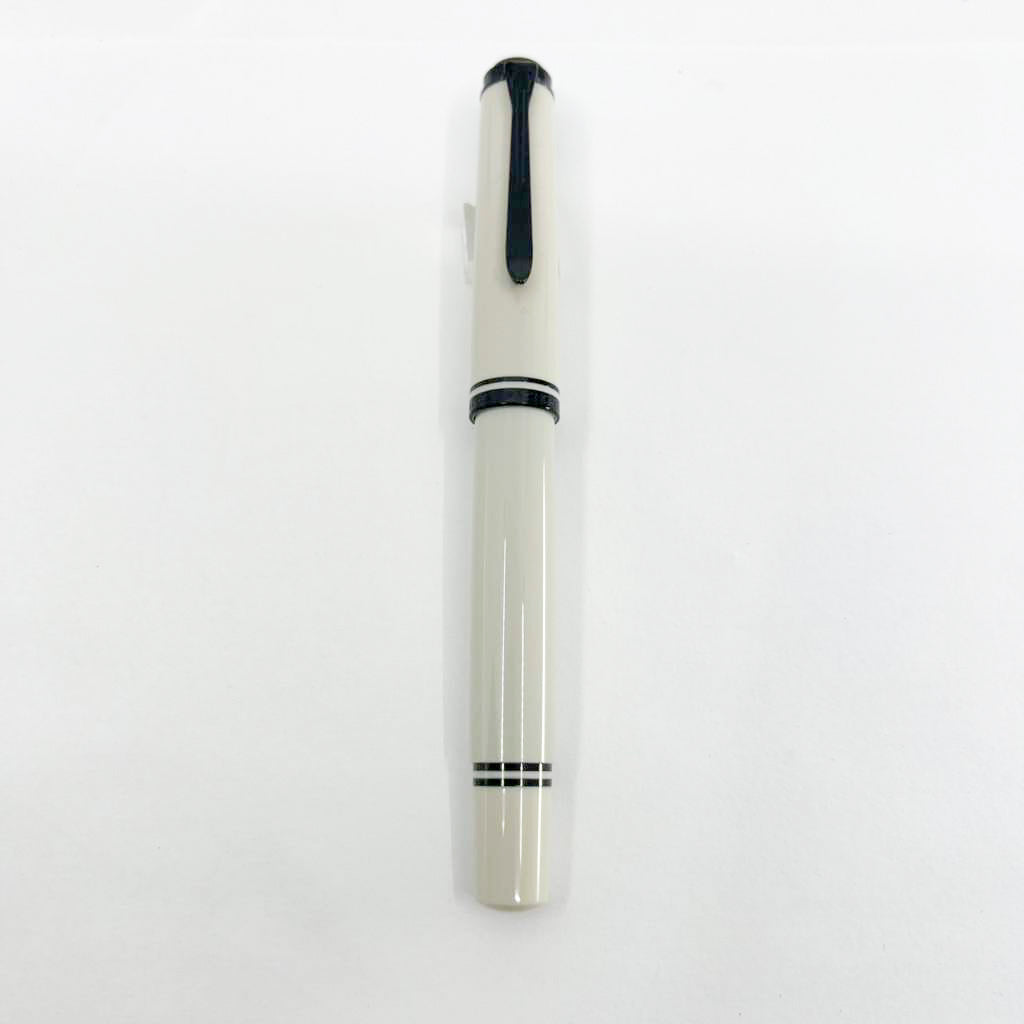 Pelikan Special Edition M670 Warm Grey Fountain Pen - Extra Fine 14kt Gold Nib
