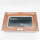 Pelikan Souveran M1005  Silver Screen Limited Edition Fountain Pen - Medium 18kt Gold Nib