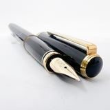 Platinum "Modern Maki-e" Cranes Fountain Pen - Broad 18kt Gold Nib