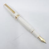 Platinum #3776 Chenonceau White GT Fountain Pen - Fine 14kt Gold Nib