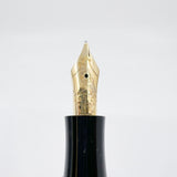 Montblanc Edgar Allan Poe Writer's Limited Edition Fountain Pen - Medium 18kt Gold Nib