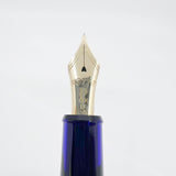 Platinum #3776 Translucent Blue Chartres Fountain Pen - Extra Fine 14kt  Gold Nib