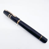Visconti Homo Sapiens Bronze Age Fountain Pen -  Very Flexible Extra Fine 23K Palladium Nib