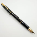 Parker Sonnet Moonbeam Lacque Marbled Charcoal/Ivory Fountain Pen -  Fine 18kt Gold Nib