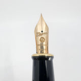 Wahl-Eversharp Decoband Oversize Red Cosmos Fountain Pen - Flexible Medium 14kt Gold Nib
