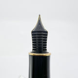 Parker Sonnet Sterling Silver Cisele Cross Hatch Fountain Pen -  Fine 18kt Gold Nib