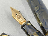 ASC Armando Simoni Club Bologna Minimalist Green Saft Celluloid Limited Edition Fountain Pen - Magic Flex Medium #8 14Kt Gold Nib