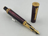Delta Papillon Variegated Streaked Burgundy Resin  Fountain Pen  - Fine 18kt Gold Nib