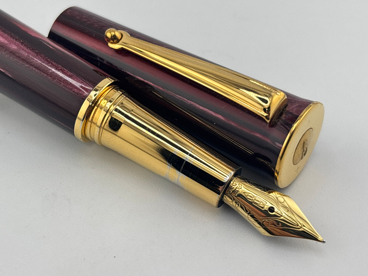 Delta Papillon Variegated Streaked Burgundy Resin  Fountain Pen  - Fine 18kt Gold Nib
