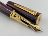 Delta Papillon Variegated Streaked Burgundy Resin  Fountain Pen  - Fine 18kt Gold Nib