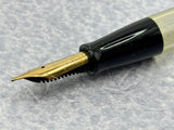 Omas Desk Pen Grigio Perla Celluloid Ink View Window - Never been filled