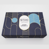 Nettuno Superba Sapphire Blue Fountain Pen