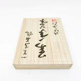 Sailor Susutake Smoked Bamboo Fountain Pen - Fine 21kt Gold Nib