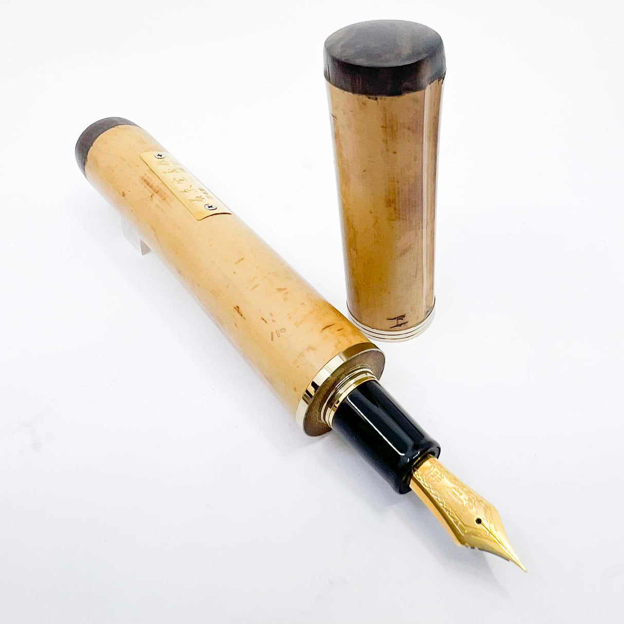 Sailor Susutake Smoked Bamboo Fountain Pen - Fine 21kt Gold Nib